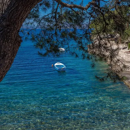 By The Sea Cove Zastupac, Hvar - 8761