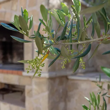 By The Sea Cove Zastupac, Hvar - 8761