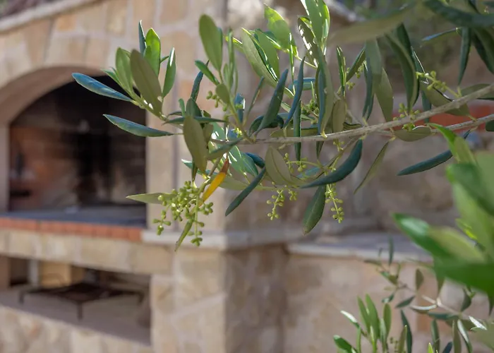 By The Sea Cove Zastupac, Hvar - 8761